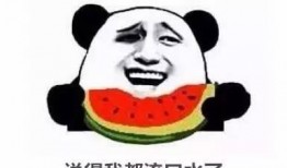 qq吃瓜裙免费,免费畅享娱乐盛宴的秘密通道